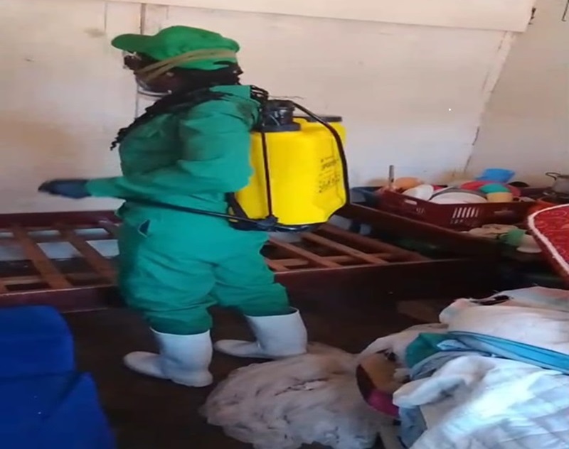 Bedbug Fumigation