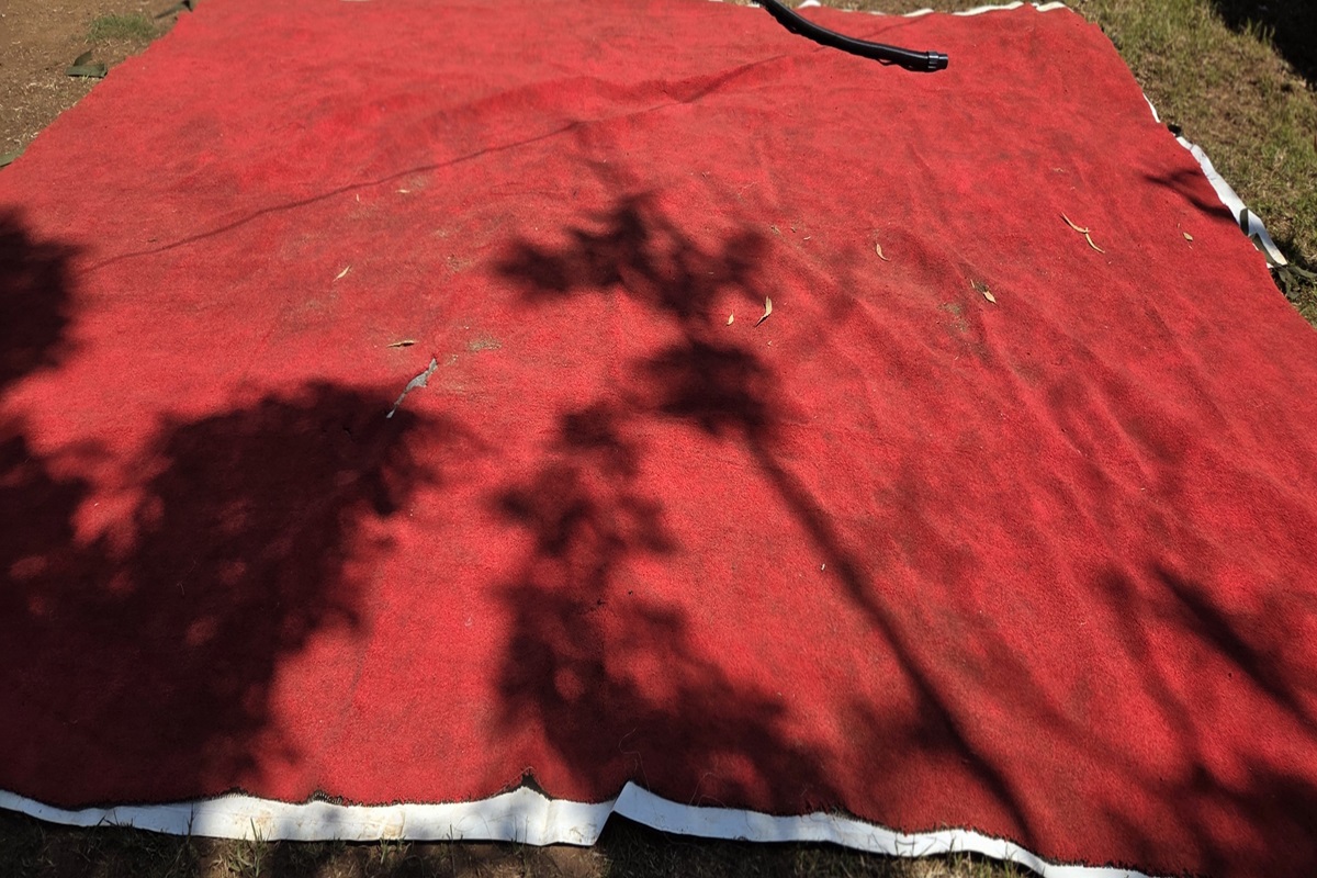 Carpet Before Cleaning