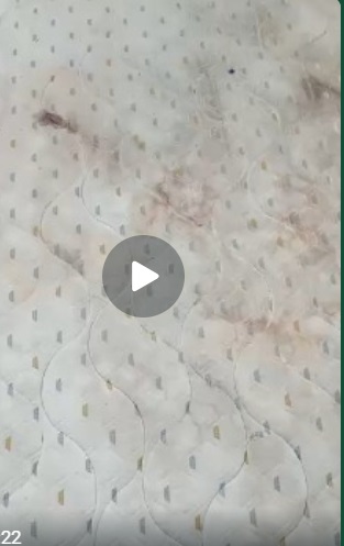 Mattress Before Cleaning