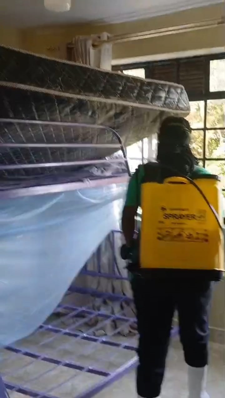 Cockroach Control